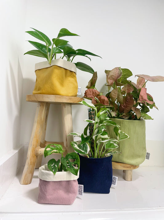 Handmade Corduroy Indoor Plant Pot Cover | Cord Houseplant Pot Sleeve