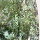 L | Ice Dye Dark Green and Purple Hand Dyed Sweatshirt